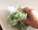 ズボラさん向け豆苗の冷凍保存法作り方2写真