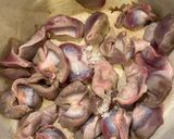 砂ずりと白菜のスープ作り方2写真