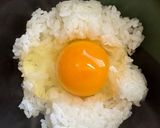 豚の煮汁で簡単雑炊作り方1写真