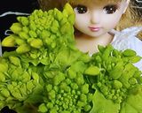 リカちゃん♡菜の花の天ぷらꕤ(市販粉で)作り方1写真