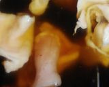 リカちゃん♡鍋焼きラーメン(高知)ご当地作り方10写真