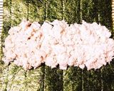糖質制限　鶏胸肉で恵方巻き(太巻)作り方4写真