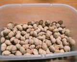 アレンジでやみつきに！福豆の砂糖菓子作り方4写真