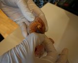 【江戸の味】柿衣作り方1写真
