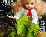 リカちゃん♡焼(V)o¥o(V)エビマヨ作り方14写真