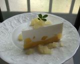 レアチーズ風 ヨーグルトケーキ作り方11写真