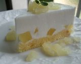 レアチーズ風 ヨーグルトケーキ作り方12写真