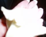 ワンタンー温州菜肉大饂飩作り方9写真