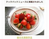 苺の冷凍保存法作り方7写真