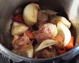夏野菜があるのなら冬野菜カレーだってあり作り方5写真
