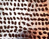 簡単♪アーモンドショコラ作り方8写真