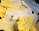 簡単♡子供大好き！白菜のやわらか焼売作り方1写真