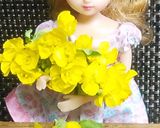 リカちゃん♡菜の花レタス胡瓜トマトサラダ作り方1写真