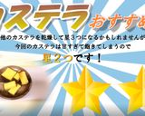 食品乾燥機でカステラを乾燥作り方7写真
