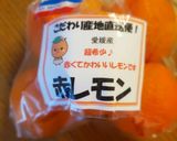 赤いレモンの酵素ジュース作り方1写真