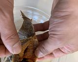 干がれいの雑煮作り方4写真