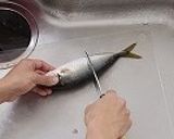 魚のさばき方(3枚おろし)作り方1写真