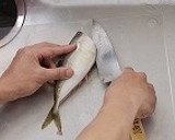 魚のさばき方（３枚おろし）作り方3写真
