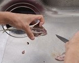 魚のさばき方（３枚おろし）作り方4写真