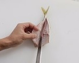 魚のさばき方（３枚おろし）作り方8写真
