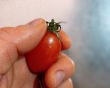 超簡単！プチトマトのヘタの取り方作り方1写真