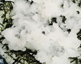 ダイコンおろし＆海苔しらす丼作り方2写真