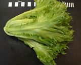 祝日なので朝からサラダを作った作り方1写真