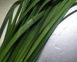 自家製☆ニラダレ☆簡単作り方1写真