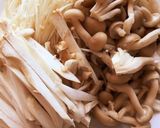 コンニャク麺のキノコスパゲティー作り方1写真