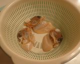 姫貝のおろしネギぽん酢作り方4写真