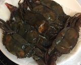 カニと遊ぶ作り方20写真
