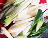 貴女風味で白葱と煮魚♥ゆりさん風作り方1写真