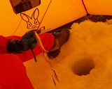 最速のワカサギの刺身作り方1写真