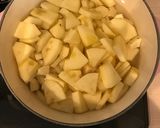 離乳食後期 りんごとさつまいもの重ね煮作り方5写真