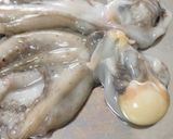 タコそうめん作り方2写真