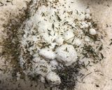 Best簡単チキンパルメジャン２０２０作り方1写真