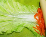 犬ご飯　ささみチーズの白菜巻き作り方3写真