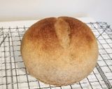 ポリパン全粒粉７０％作り方11写真