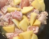 ササミとジャガイモのトマト煮作り方7写真