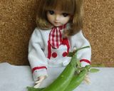 リカちゃん♡たらの芽パスタ作り方6写真