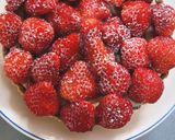 イチゴチョコタルト作り方35写真
