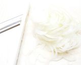 鯛のフュメでヴィシソワーズ作り方2写真