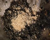 無糖・お腹と心の整う蕗味噌作り方1写真
