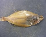 カレイの唐揚げ作り方1写真