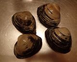 ホッキ貝のソテーの肝ソース添え作り方1写真