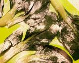 白菜か青梗菜でレンジ・シューマイ作り方4写真