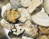 アサリのワイン蒸し●しょう油バター味作り方1写真