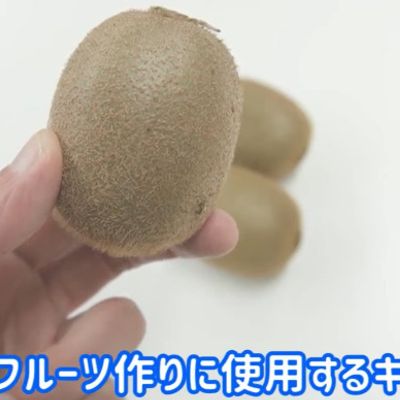 食品乾燥機でドライキウイ作り方 by ラボネクト 【クックパッド】 簡単