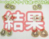 食品乾燥機でドライキウイ作り方作り方11写真