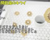 食品乾燥機でドライキウイ作り方作り方8写真